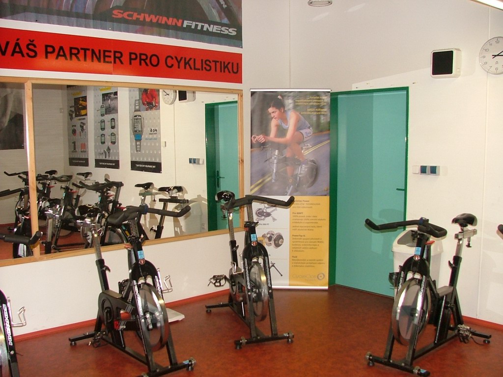 Schwinn cycling