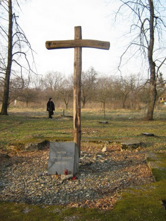 Vykácené stromy u kaple Anděla strážce ve Starém Bohumíně