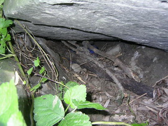Geocaching