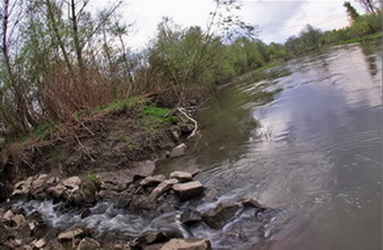 Meanders of the rivers Odra and bottom part of Olza