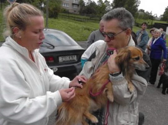 Při očkování psů proti vzteklině mohou obyvatelé využít ordinací veterinářů i jejich mimořádných výjezdů do městských částí