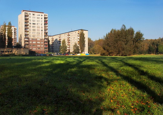 Vysoká tráva na louce u sídliště v Tovární ulici