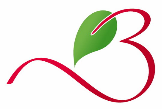 Bohumín má nové logo