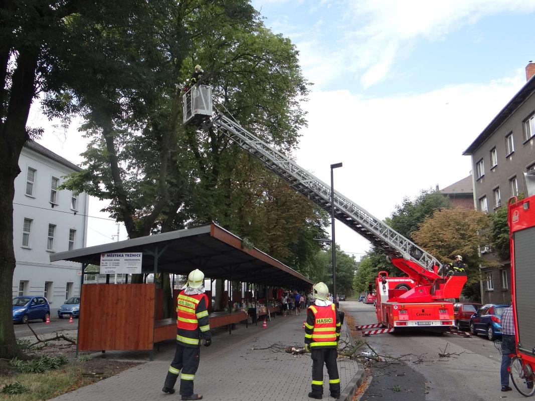 Bouřka a vichřice nad ránem lámala zeleň