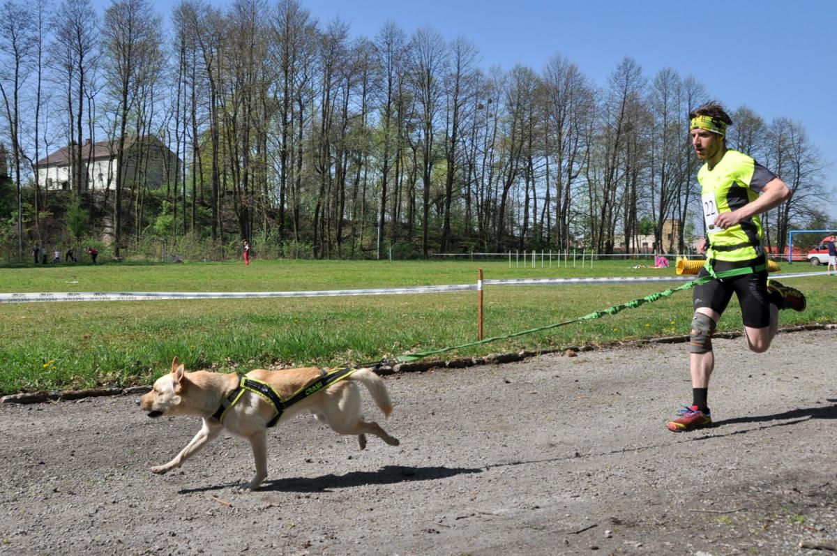 Rekreační běh se psem nabídne v Bohumíně třetí ročník