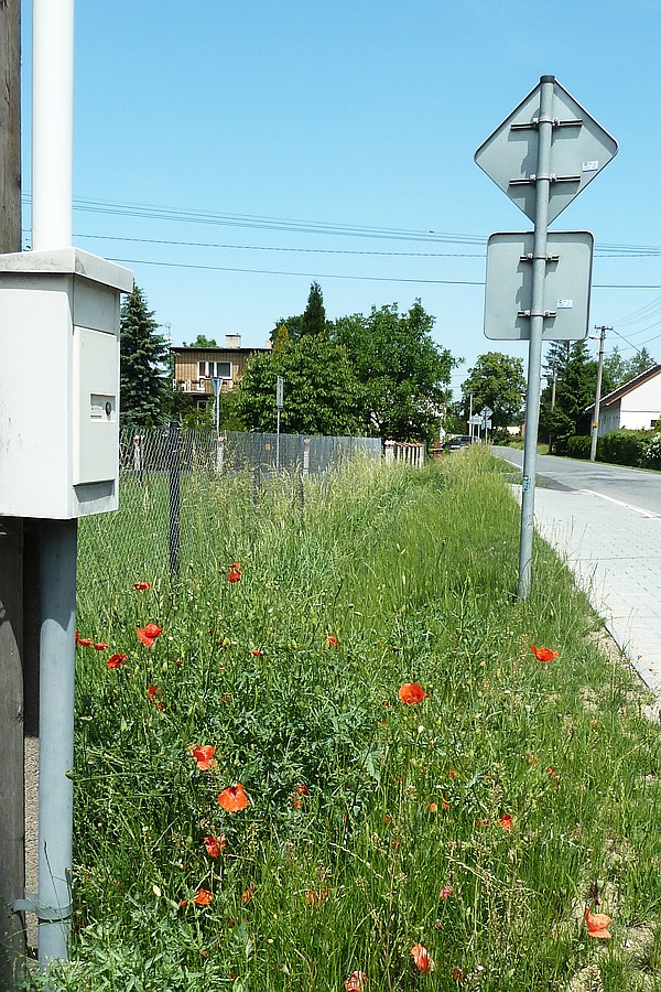 Trávu u Šunychelské ulice posečou veřejně prospěšní pracovníci