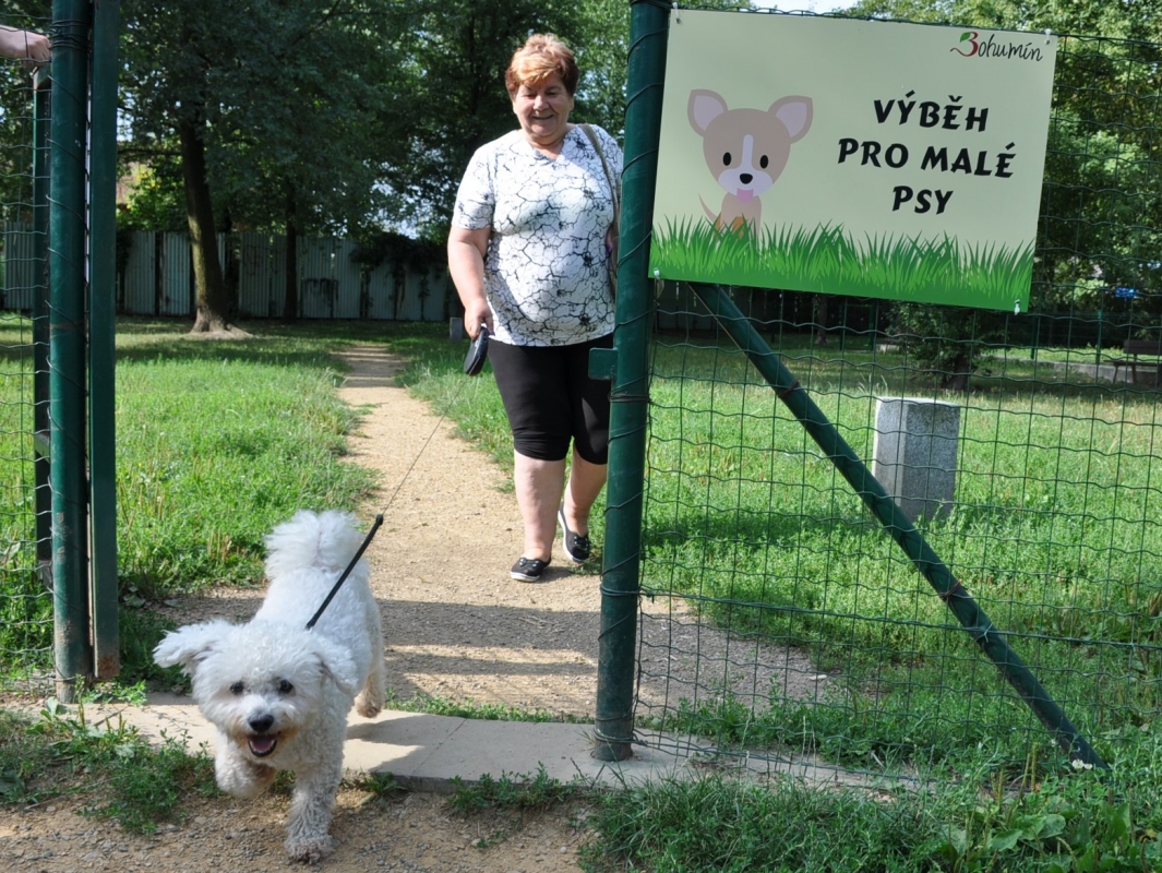 Pejskaři si přáli výběh pro malá a velká plemena zvlášť, město jej právě dokončilo