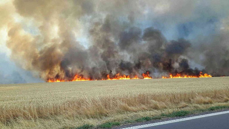 Kvůli suchu hrozí požáry, Moravskoslezský kraj vyhlásil opatření