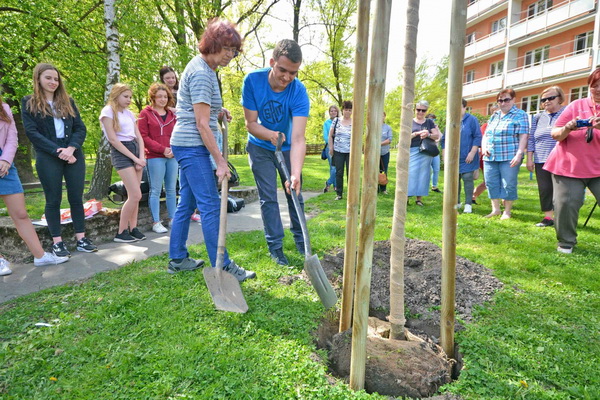 Hodinová vnoučata zasadila spolu s babičkami z Bohumína svůj strom