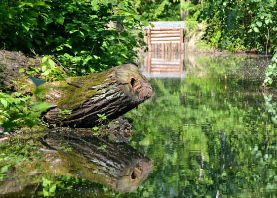 Skřečoňský Gliňoč