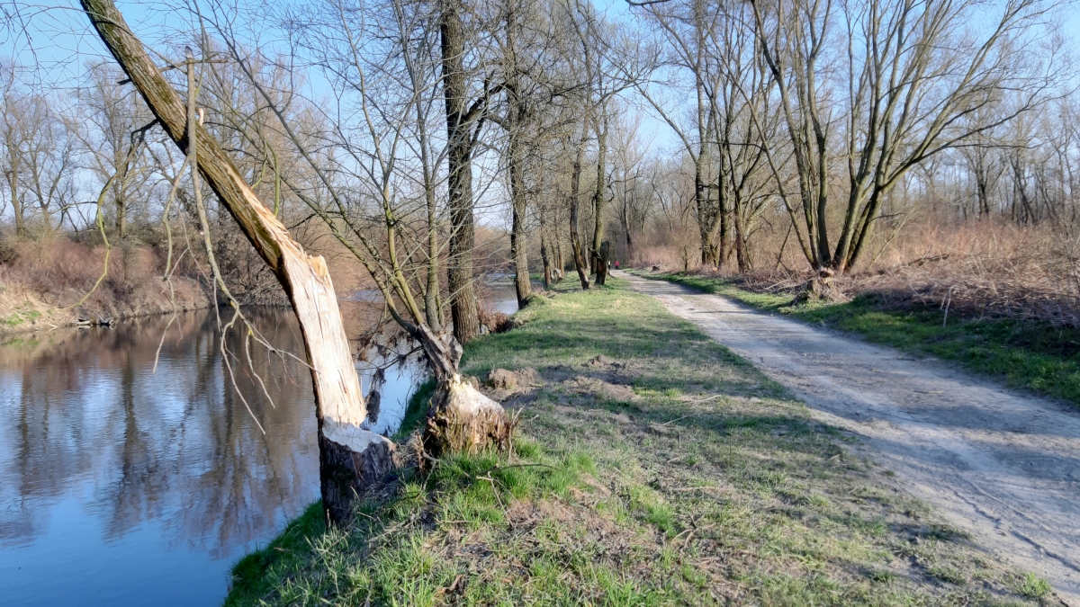 Bohumín myslí na cyklisty, láká na nové trasy, třeba bobří a industriální