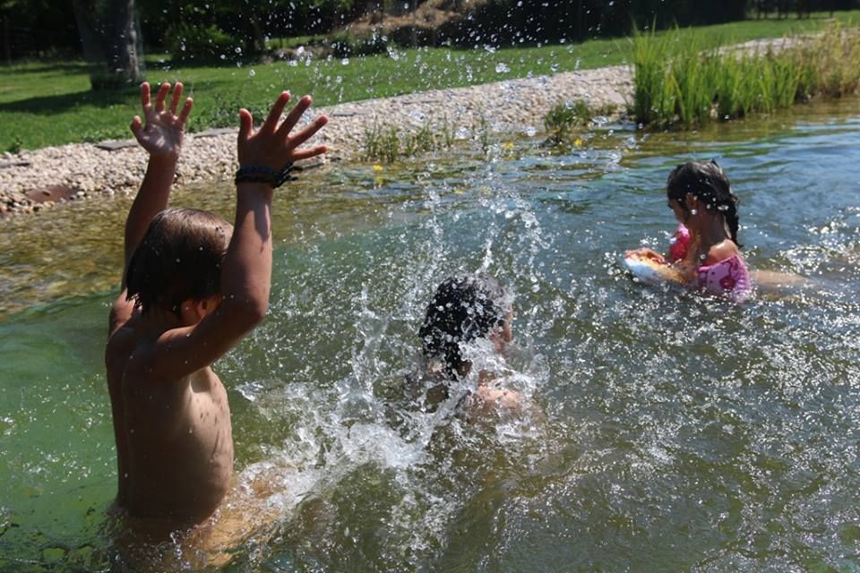 Kvalita vody v Kališově jezeře dál ideální, Vrbické jezero má zónu s otazníkem