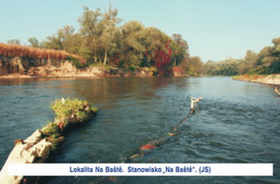 12. przystanek: Na Baště