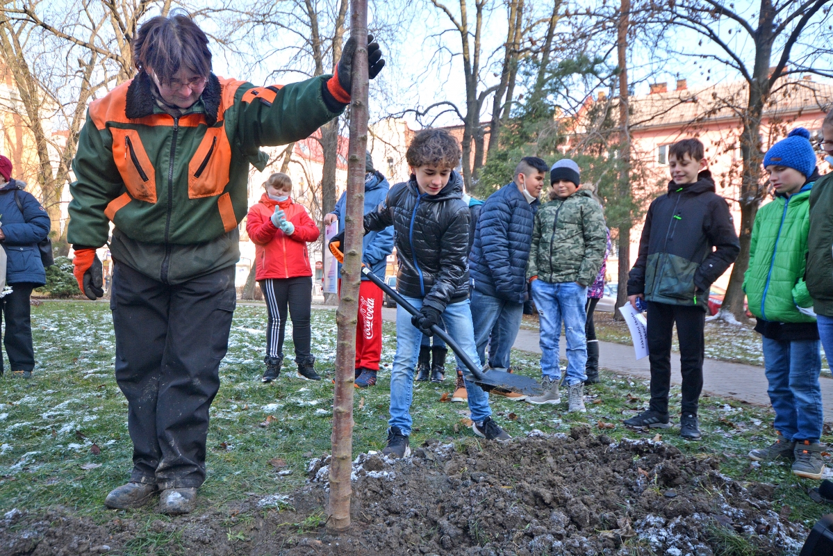 V centru Bohumína vzniká parčík s okrasnými stromy