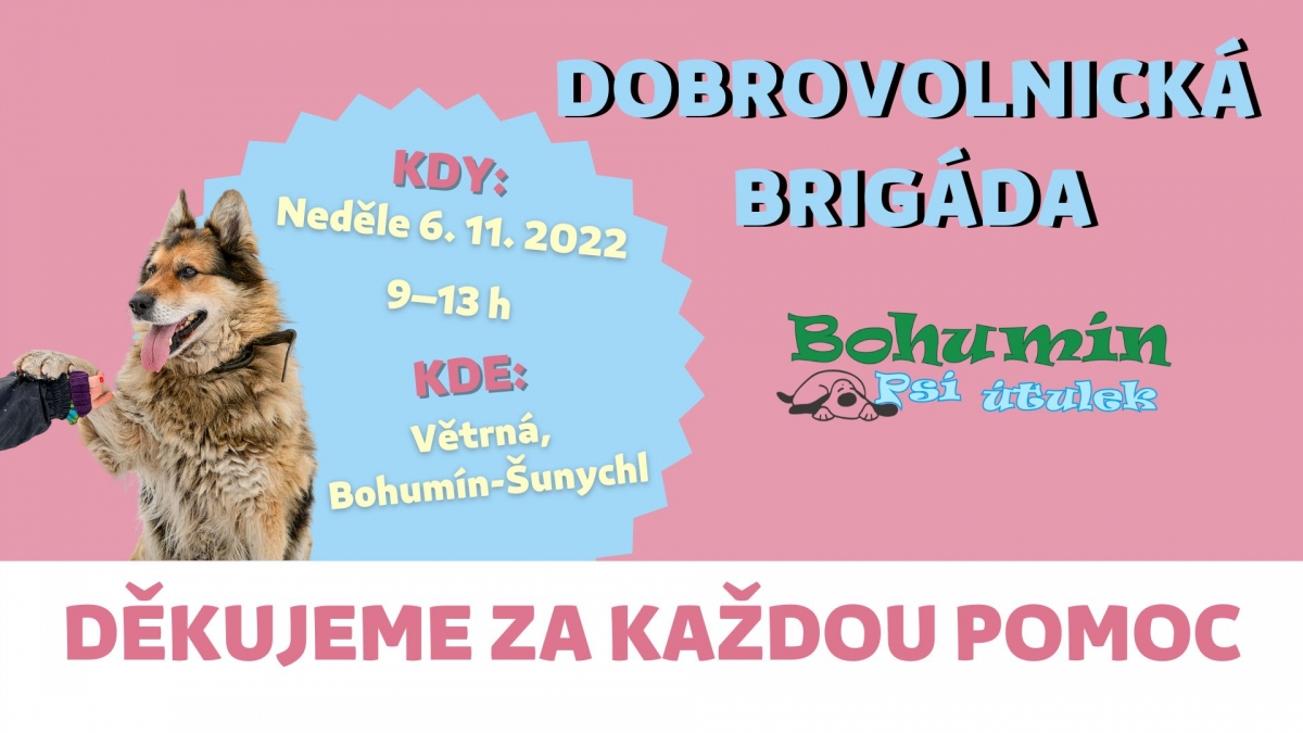 Před zimou dobrovolníci vygruntují psí útulek, pomoci může každý