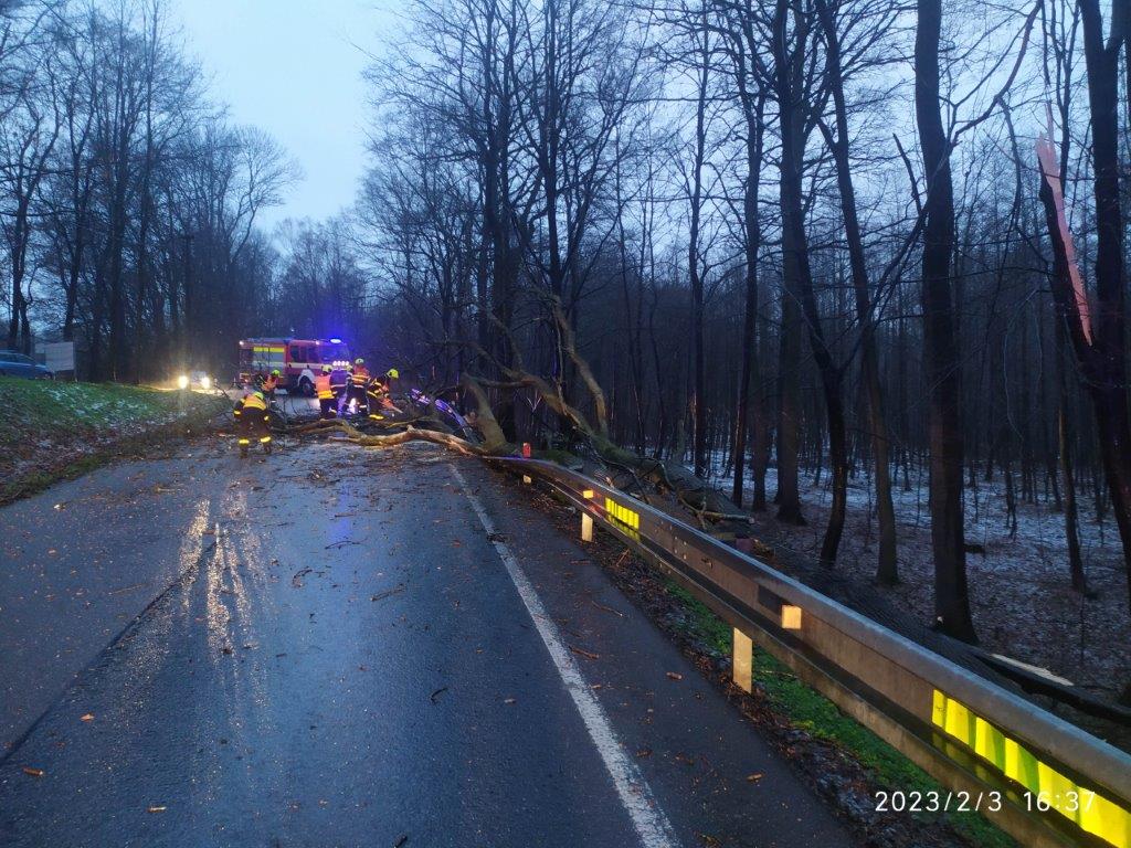 Vyvrácený strom zablokoval serpentiny mezi Skřečoní a Záblatím