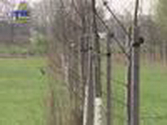2000 nových stromů pro Bohumín - zobrazit video