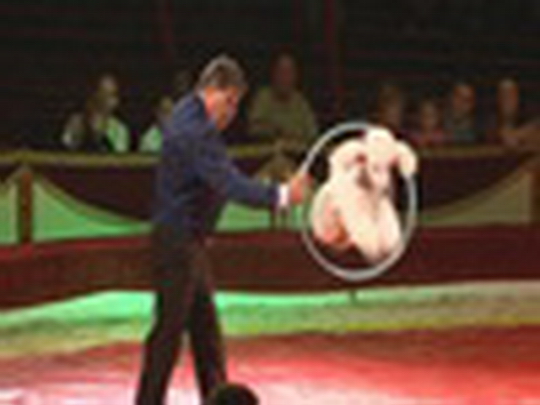 Cirkus Humberto v Bohumíně - show video