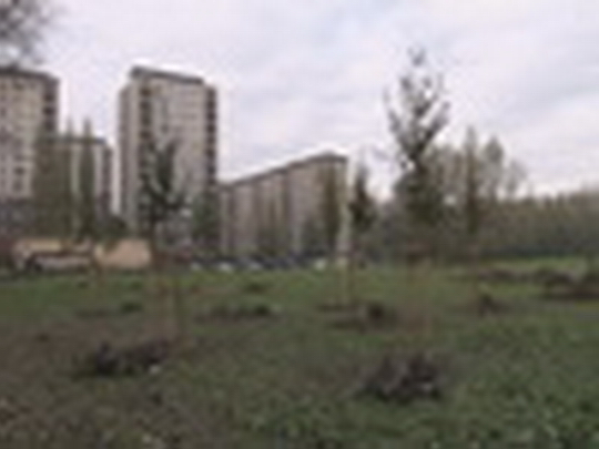 Začala výsadba izolační zeleně - show video