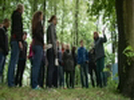 Gymnázium buduje miniarboretum - show video
