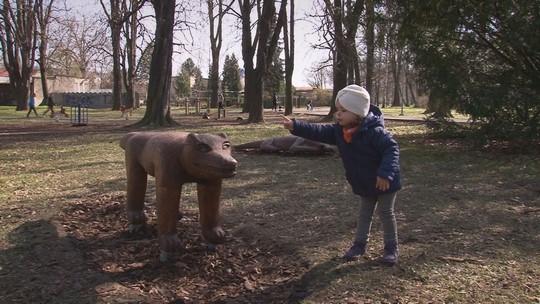 V parku Petra Bezruče se zabydlela dřevěná vlčí smečka - przedstawić wideo