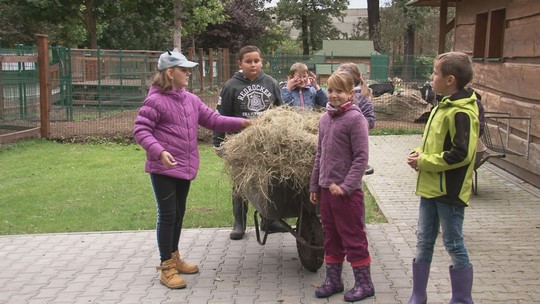 Mladí chovatelé pomáhají s péčí o zvířata na ranči - zobrazit video