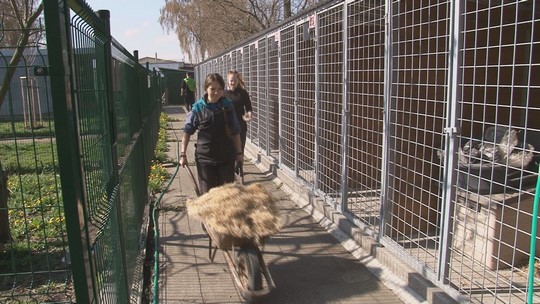 Dobrovolníci na jaře uklidili psí útulek - show video