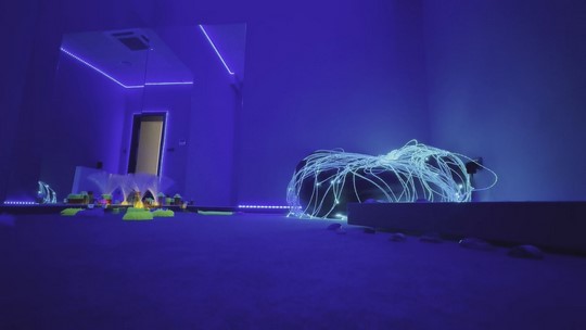Salome má zázemí pro senzorickou integraci - zobrazit video