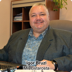 Igor Bruzl